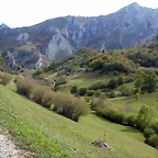 DSCN1201