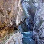 DSCN0993