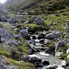 DSCN1182