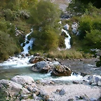 DSCN1016