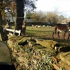 DSCN0693