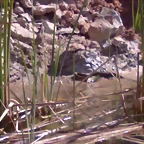 01042012127
