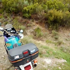 DSCN9919