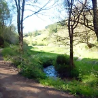 DSCN0064