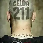 celda