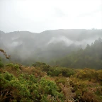 DSCN8464