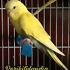 PicsArt_07-24-10.51.07