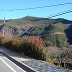 DSCN8045