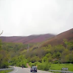 DSCN4921