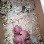 20190429_122312