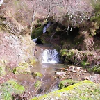DSCN1646