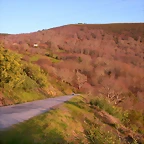 DSCN1885