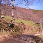 DSCN1693