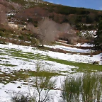DSCN1661
