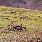 DSCN1697