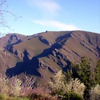 DSCN1811