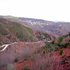 DSCN1608