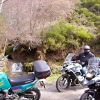 DSCN1647