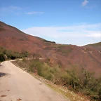 DSCN1705