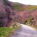 DSCN1594