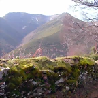 DSCN1653