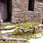 DSCN1679