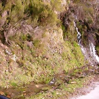DSCN1639