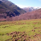 DSCN1698