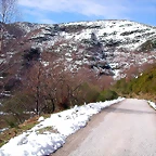 DSCN1663