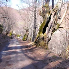 DSCN1708