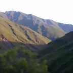 DSCN1856