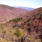 DSCN1706