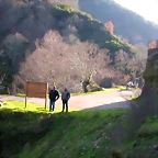 DSCN1843