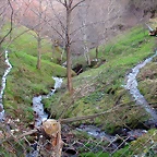 DSCN1859