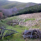 DSCN1858