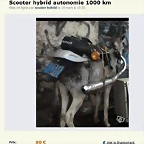 burro escape