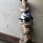IMG-20191011-WA0011