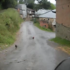DSCN4781
