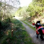 DSCN2084