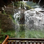 DSCN3500