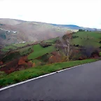 DSCN2208