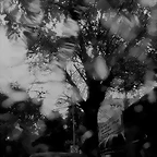 20161015_100554