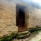 DSCN2413