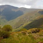 DSCN1204