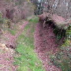DSCN1982