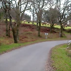DSCN1984