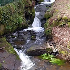 DSCN1977