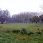 DSCN7453