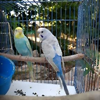 IMG_20180815_074844782