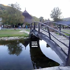 DSCN8202